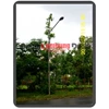 plts pju dldm ( penerangan jalan umum )