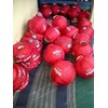 lampion bola-3