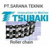 large size conveyor chains rf series-3