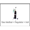 gas medis - medical oksigen + regulator + troli