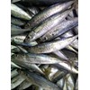 ikan layang