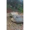 batu boulder 50 s/d 3 ton-4