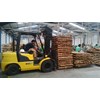 falcata bare core-4