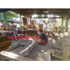 payung kebun-2