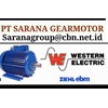 western electric motor pt sarana gear motor 50 hz foot-1