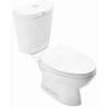 winplus dual flush ccst toilet-1