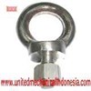 aneka eye bolt