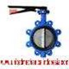 butterfly valve