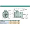 abb electric motors and generators-5