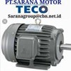 agent ac motor dc motor teco pt sarana motor electric motor-1