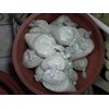 dolomite bubuk eceran per kg