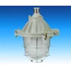 cover lampu explosion proof - type flame proof (iib)-2