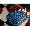 material beads butiran kayu kopi warna biru 20 mm per 10 butir-5