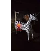 l-408, lampion karakter zebra