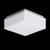 lampu plafon