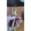 pipa rokok kayu nagasari ukir burung model 04-2