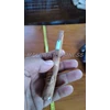 pipa rokok kayu nagasari ukir burung model 04-5