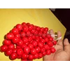 material beads butiran kayu kopi - merah - 20mm 100pcs-6