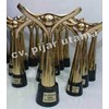 trophy sni award