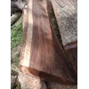 kayu suar/trembesi