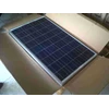 panel surya 100 wp poly & mono 12/24v (modul solar cell)-3