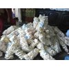 kerupuk palembang-2