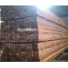 kayu kempas
