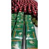 dicari distributor sari mengkudu asli seluruh indonesia-1