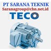 teco motor