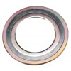 spiral wound gasket