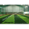 rumput futsal terpercaya-6