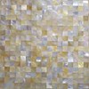 seashell panel-7