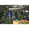 seluncuran water park spheres-4