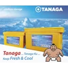 box penyimpanan coolbox plastik serbaguna merk tanaga-3