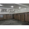 cold storage kualitas terbaik-3