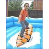 surfing simulator-1