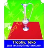 trophy/piala award-1
