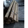 bambu cendani berkualitas