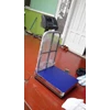 grain scale bench scale 150kg-1