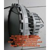 lampu gantung led explosion proof helon hlbd05 pendant-7
