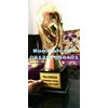 trophy piala sepakbola & futsal-1