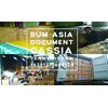 kayu manis / cinnamon / cassia-4