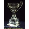 trophy kristal, trophy kristal, trophy kristal jakarta-3