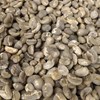 sell arabica coffee bean from tana toraja indonesia-4