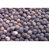 sell candlenut from tana toraja south sulawesi province indonesia-2
