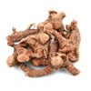 sell fresh and dried galangal from indonesia-6