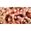 sell fresh and dried galangal from indonesia-4