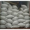 sell fresh and dried galangal from indonesia-1