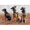 k 9 security sevices-2