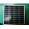 solar panel, solar cell, modul surya, panel surya 60wp poly murah-1
